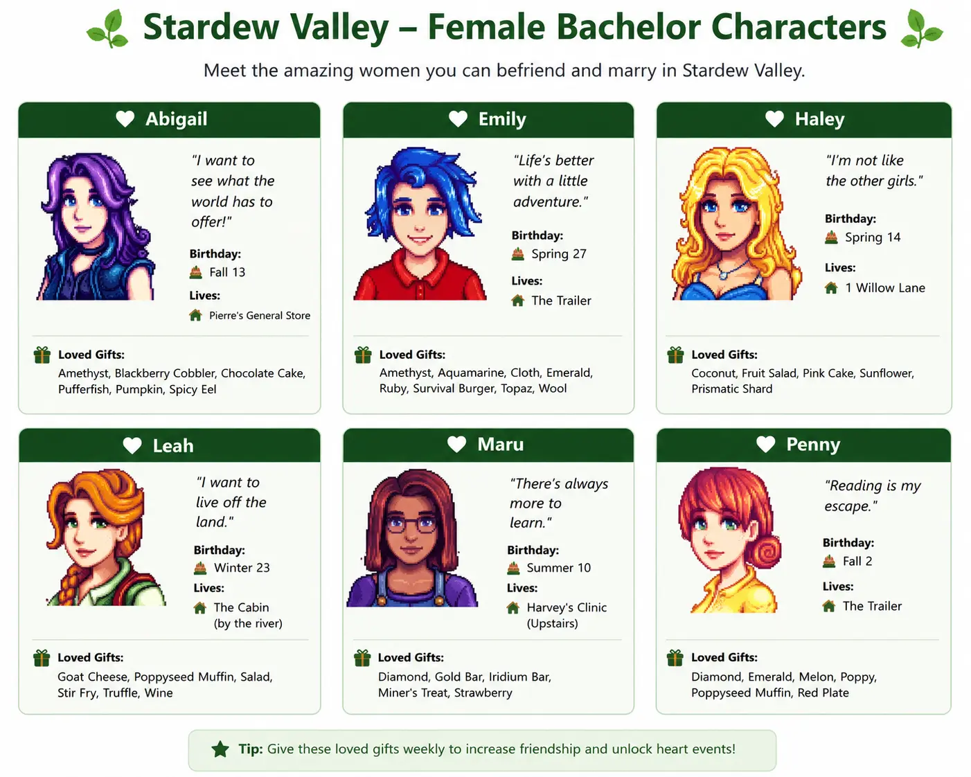 Stardew Valley APK 1.6.15.3 Download Latest Version for Android 23 Stardew-valley-Female-Bachelor-Characters