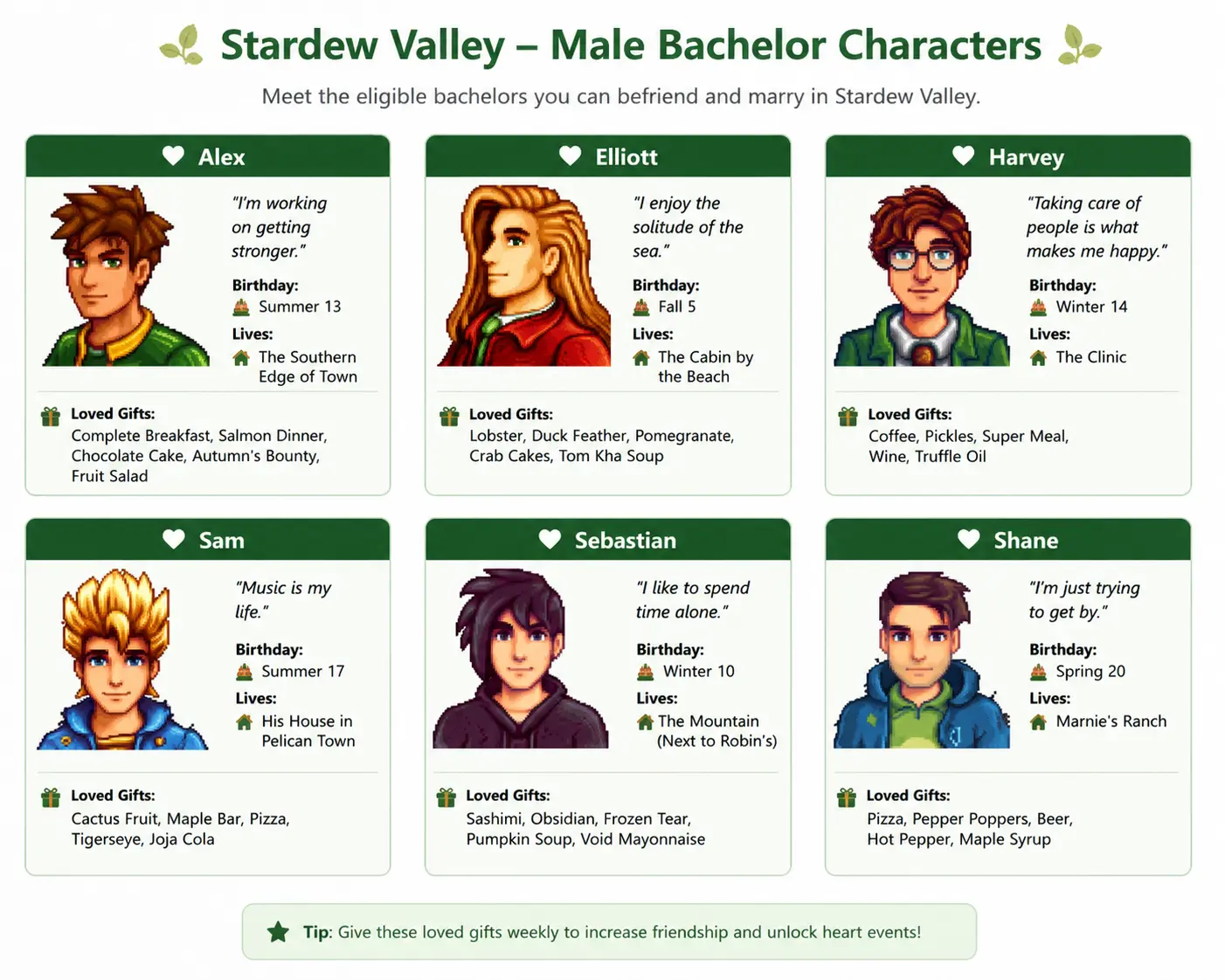 Stardew Valley APK 1.6.15.3 Download Latest Version for Android 22 Stardew-valley-Male-Bachelor-Characters